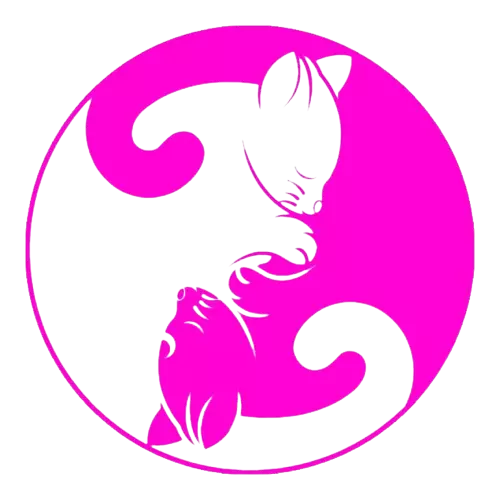 Hébergement Hosting Minecraft CatServer